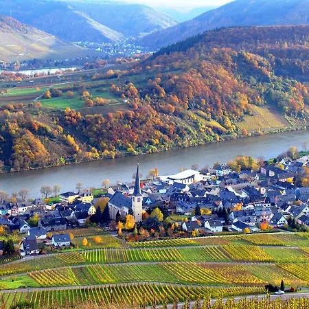 Ferienweingut Rainer Beitzel Πανσιόν 3*