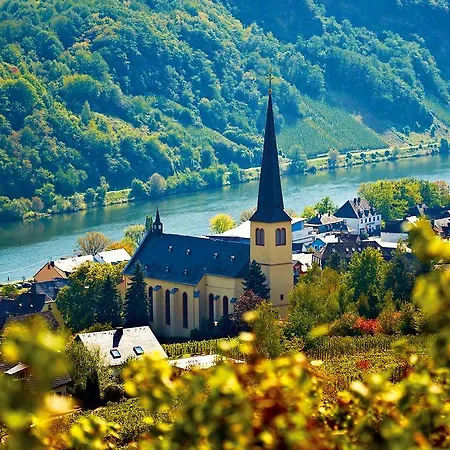 Πανσιόν Ferienweingut Rainer Beitzel 3*