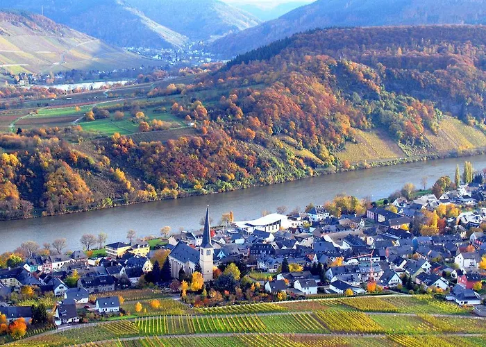 Pensionat Ferienweingut Rainer Beitzel