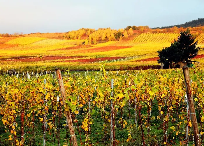 Ferienweingut Rainer Beitzel Pensionat 3*