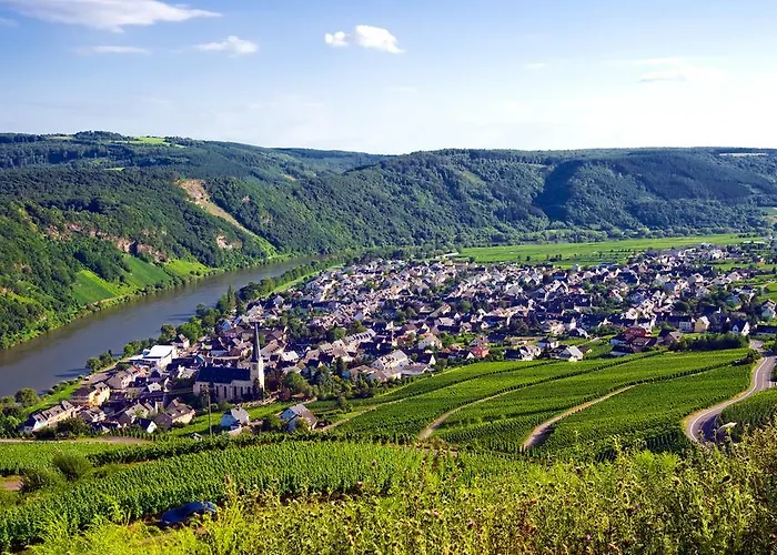 Ferienweingut Rainer Beitzel Pensionat