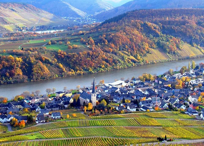 Ferienweingut Rainer Beitzel Pensionat 3*