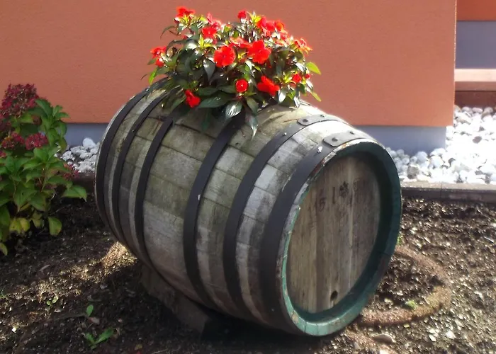 Ferienweingut Rainer Beitzel